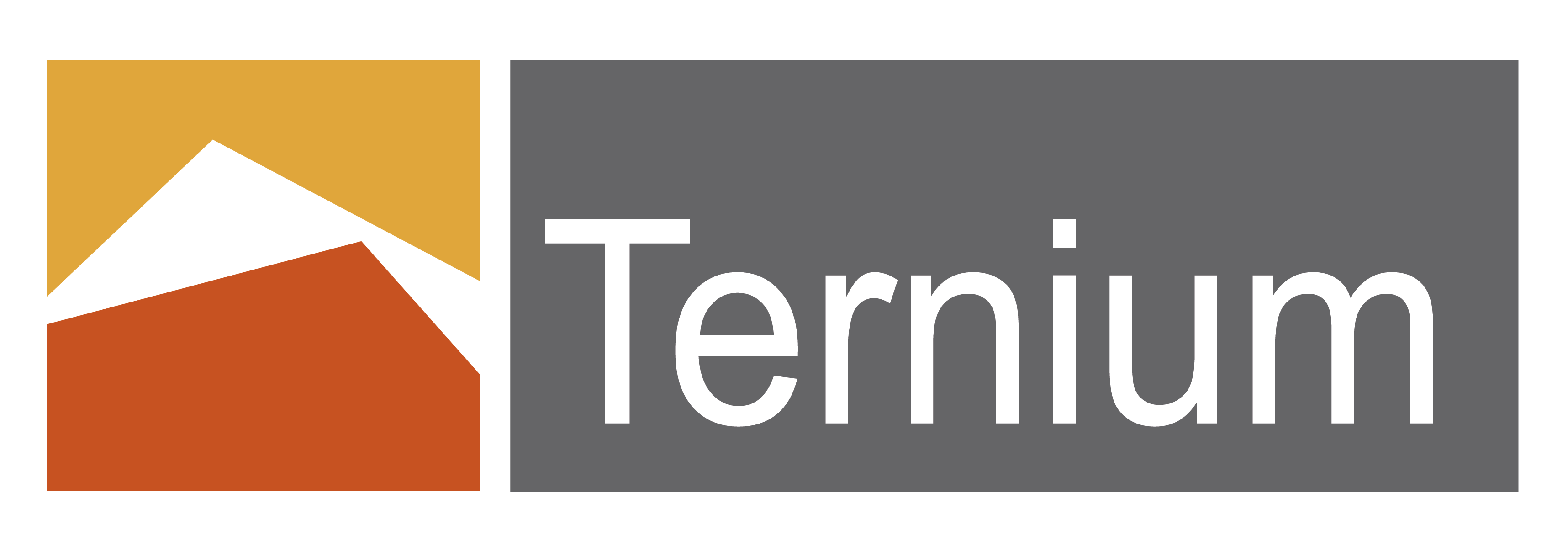 Logo Ternium